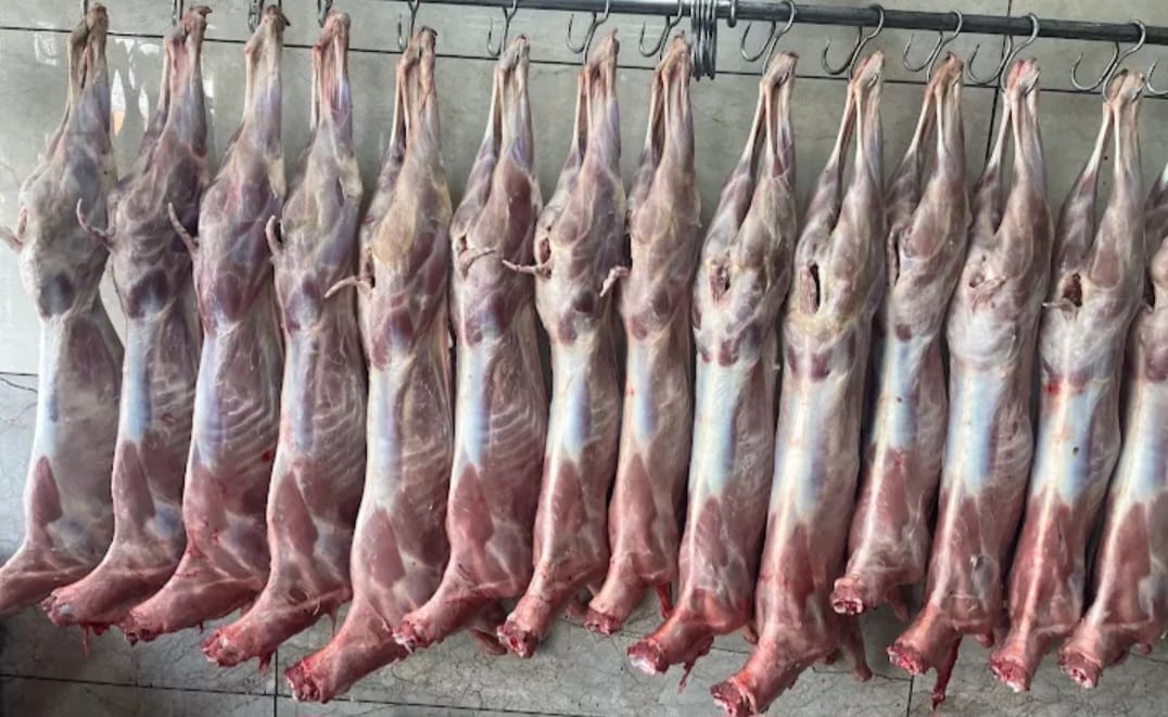 Fresh premium mutton